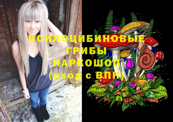 ПСИЛОЦИБИНОВЫЕ ГРИБЫ Бронницы