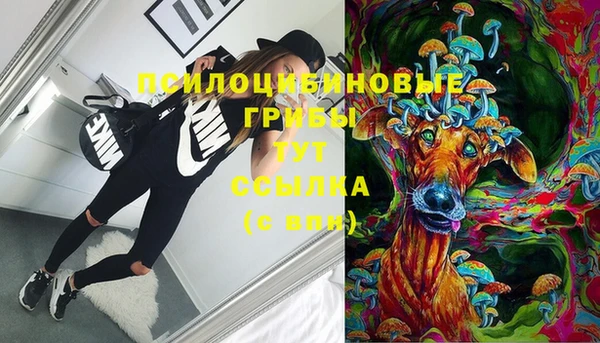 метадон Бородино