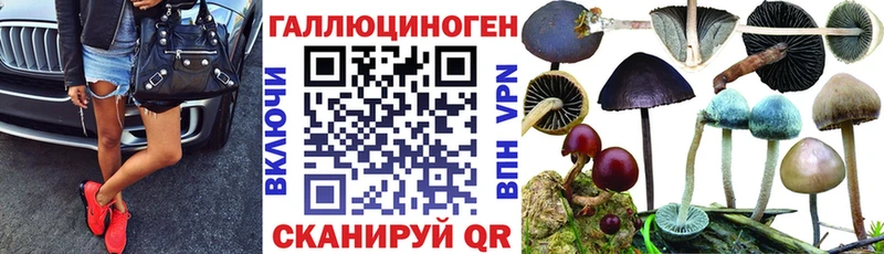 Псилоцибиновые грибы MAGIC MUSHROOMS  как найти закладки  Рыбинск 