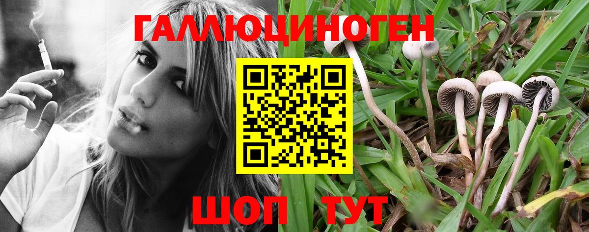Псилоцибиновые грибы мухоморы Рыбинск